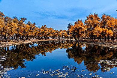 《守望先锋2》新英雄“渣客镇女王”实机预告片展示